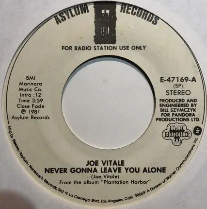 Joe Vitale - Never Going To Leave You Alone