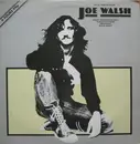 12inch Vinyl Single - Joe Walsh - Four Tracks From Joe Walsh