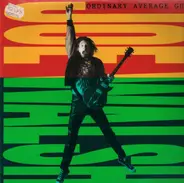 Joe Walsh - Ordinary Average Guy