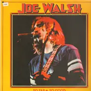 Joe Walsh - So Far So Good