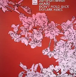 Joey Negro presents Akabu - Don't Hold Back (Skylark Mixes)