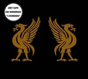 Joey Cape - Liverbirds