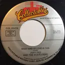 7inch Vinyl Single - Joey Dee & The Starliters - What Kind Of Love Is This / Hey, Let's Twist