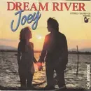 7inch Vinyl Single - Joey - Dream River