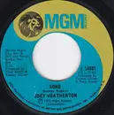 7inch Vinyl Single - Joey Heatherton - Gone / The Road I Took To You (Pieces)