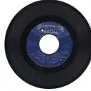 7inch Vinyl Single - Joey Powers - Where Did The Summer Go