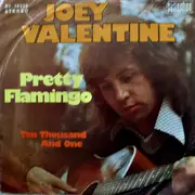 7inch Vinyl Single - Joey Valentine - Pretty Flamingo / Ten Thousand And One