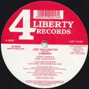 2 x 12inch Vinyl Single - Joey Washington Featuring Lawanda - Don't Wanna Lose Your Love
