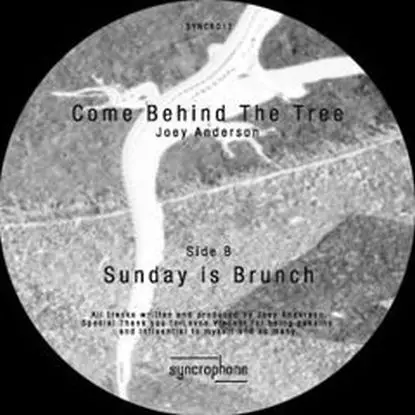 Joey Anderson - Come Behind The Tree