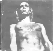 Joey Ramone - We Will Fall: The Iggy Pop Tribute