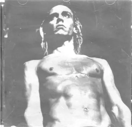 Joey Ramone,Red Hot Chili Peppers,Misfits, u.a - We Will Fall: The Iggy Pop Tribute