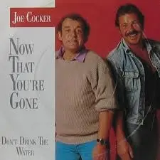 Joe Cocker - Now That Youre Gone