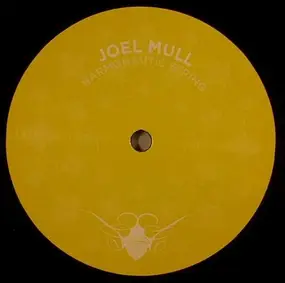 Joel Mull - Harmonautic String