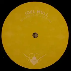 Joel Mull - Harmonautic String