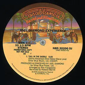 Joel Diamond Experience - Tall In The Saddle