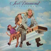 Joel Diamond Experience - Joel Diamond Experience