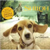 Joel Goldsmith - Shiloh
