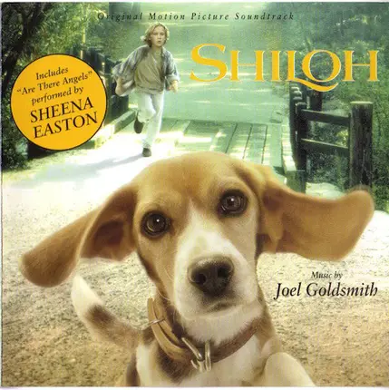 Joel Goldsmith - Shiloh
