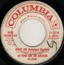 7inch Vinyl Single - Joe Puma - Noah's Ark (Redwinged Blackbird) / Panic In The Birdcage