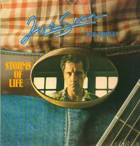 Joe Sun - Storms Of Life