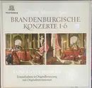Double LP - Bach / Concentus Musicus Wien - Brandenburgische Konzerte 1-6 - Hardcover Box + Booklet