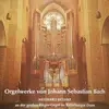 LP - J. S. Bach - Orgelwerke Von Johann Sebastian Bach (Neithard Bethke An Der Großen Rieger-Orgel Im Ratzeburger Dom)