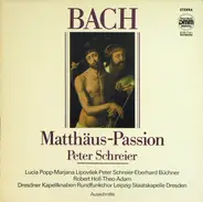 Bach - Matthäus Passion BWV 244 (Ausschnitte)