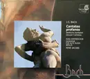 Double CD - Johann Sebastian Bach - RIAS-Kammerchor • Akademie Für Alte Musik Berlin • René Jacobs - Cantates Profanes