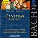 CD - Johann Sebastian Bach , Bach-Ensemble , Helmuth Rilling - Cantatas BWV 35-37