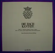 Johann Sebastian Bach , Bach-Ensemble , Helmuth Rilling - Die Bach Kantate BWV 12  Weinen, Klagen, Sorgen, Zagen / BWV 102  Herr, Deine Augen Sehen Nach Dem