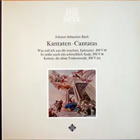 Jaap Schröder - Kantaten・Cantatas
