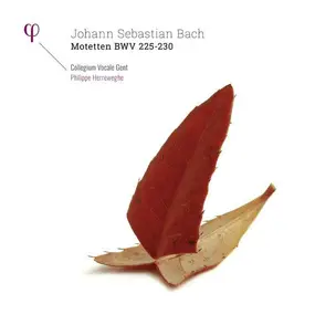 J. S. Bach - Motetten BMV 225-230