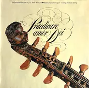 Bach - Die Bach Kantate - BWV 104, BWV 166