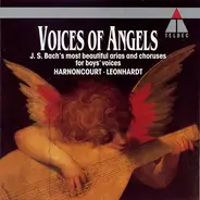Johann Sebastian Bach , Nikolaus Harnoncourt • Gustav Leonhardt - Voices Of Angels - J. S. Bach's Most Beautiful Arias And Choruses For Boy's Voices