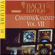 Johann Sebastian Bach - Cantatas / Kantaten Vol. VII