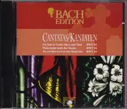 CD-Box - Johann Sebastian Bach - Cantatas Vol. II / Kantaten Vol. II