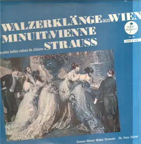 Johann Strauß - Walzerklänge aus Wien