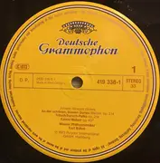 LP - Johann Strauss Sr. / Johann Strauss Jr. / Josef Strauss - An Der Schönen Blauen Donau / Kaiserwalzer * Perpetuum Mobile * Tritsch-Tratsch-Polka * Rosen Aus Dem Süden