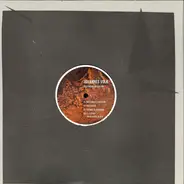 Johannes Volk - Designing Evolution