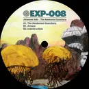 12inch Vinyl Single - Johannes Volk - The Awakened Guardians