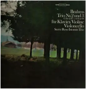 Johannes Brahms - Trio Nr. 2 Und 3 Für Klavier, Violine Und Violoncello