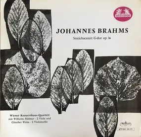 Johannes Brahms - Sextet In G Major For Strings, Op. 36