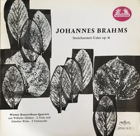 Johannes Brahms - Sextet In G Major For Strings, Op. 36