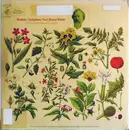 LP - Brahms -  Bruno Walter - Symphony No. 1