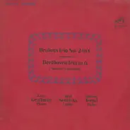 Johannes Brahms , Ludwig van Beethoven , Gary Graffman , Bert Senofsky , Shirley Trepel - Trio No.2 In C Trio In G