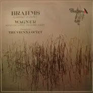 Brahms / Wagner - Clarinet Quintet / Adagio For Clarinet And String Quintet