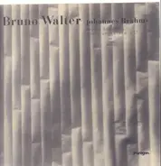 Johannes Brahms, Bruno Walter - doppio concerto, danza ungherese n. 17