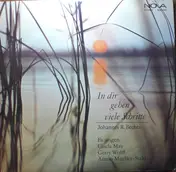Johannes R. Becher - In dir gehen viele Schritte