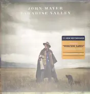 John Mayer - Paradise Valley