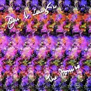 CD - John McLaughlin - The Promise